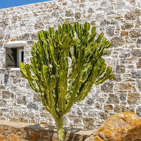 Villa Aurora Mykonos Villas Kalafatis